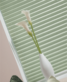 Pleated blinds
